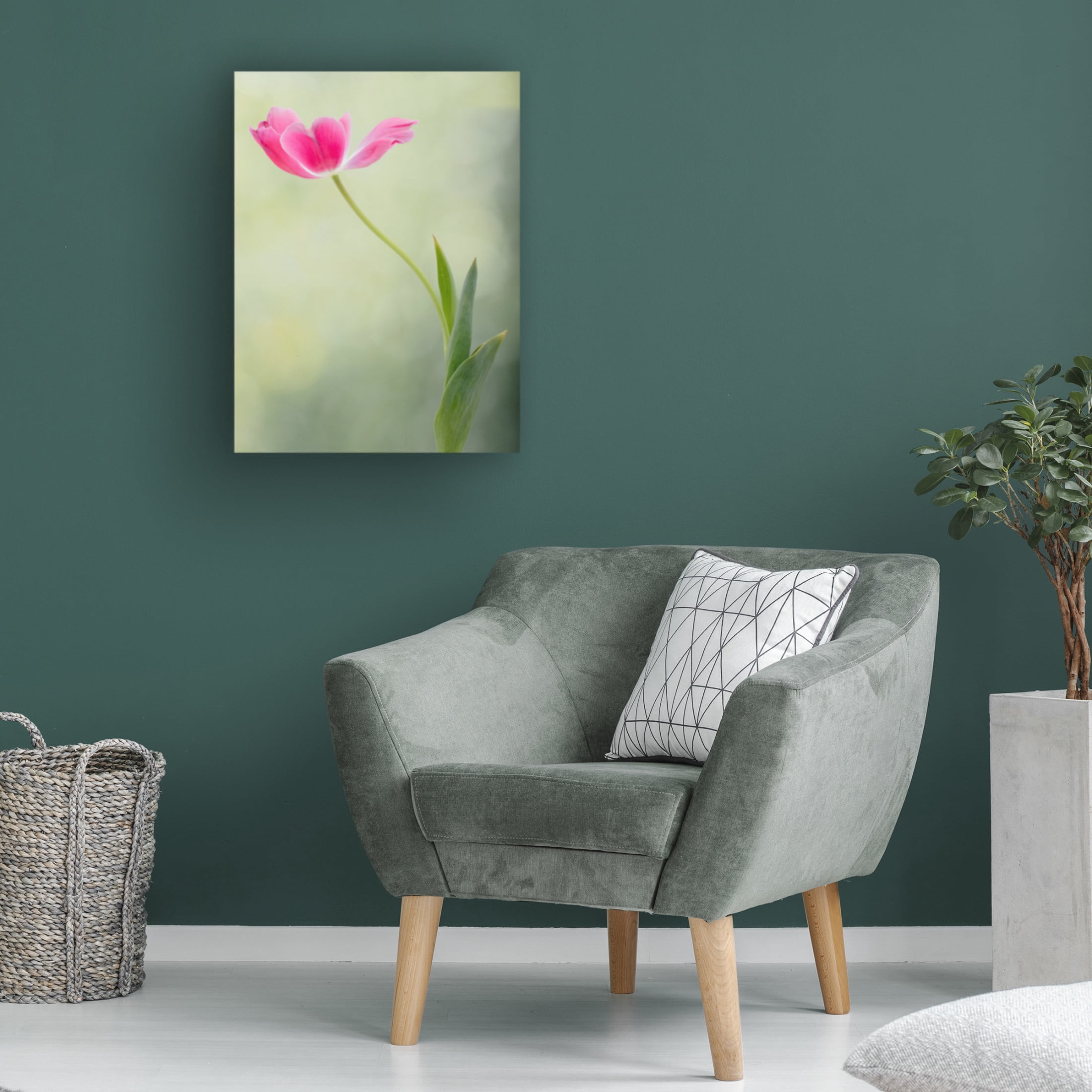 Trademark Fine Art Linda D Lester Spring Tulip Canvas Wall Art