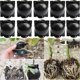 thumbnail image 3 of 10Pcs Reusable Plant Rooting Equipment Kit Cutting Grafting Rooting Box Branch Rooting Propagator Br, 3 of 5