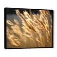 thumbnail image 2 of Designart "Golden Dreams In Tall Grass Meadows" Meadow Floater Framed Canvas Art Print, 2 of 5