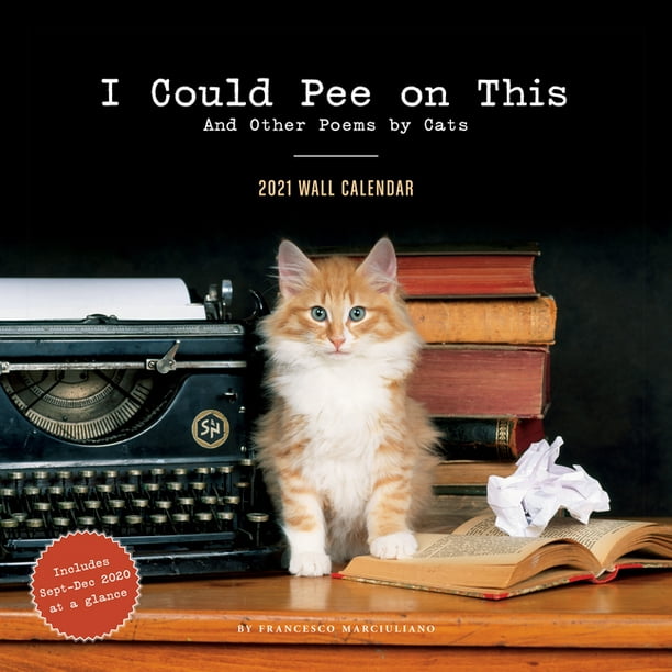 I Could Pee on This 2021 Wall Calendar Funny Cat Calendar, Monthly