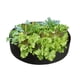 thumbnail image 2 of Cultivo De Plantas De Fieltro Macetas De Plantas De Fieltro Contenedores De Cultivo De Vegetales Duraderos Reutilizables Para Patio De Terraza Minnieouse HA039822-04, 2 of 6