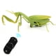 thumbnail image 2 of Juguete de simulación de insecto mantis con control remoto infrarrojo para niños, 2 of 14