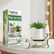thumbnail image 2 of 4 PCS Soporte de madera para maceta, maceta duradera para flores suculentas, soporte de exhibición para plantas, 2 of 5