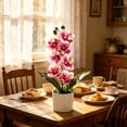 thumbnail image 5 of Artificial Orchid Plant,Phalaenopsis Orchid Potted Set with 7 Flowers,Realistic artificial Flower Arrangement for Home Decor,Wedding Floral Centerpiece,Lifelike Silk Flower Decor for Table and Shelf, 5 of 8