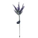 thumbnail image 1 of Solar Rape Flower Light LED Rape Flower Outdoor Garden Courtyard Light, 1 of 2
