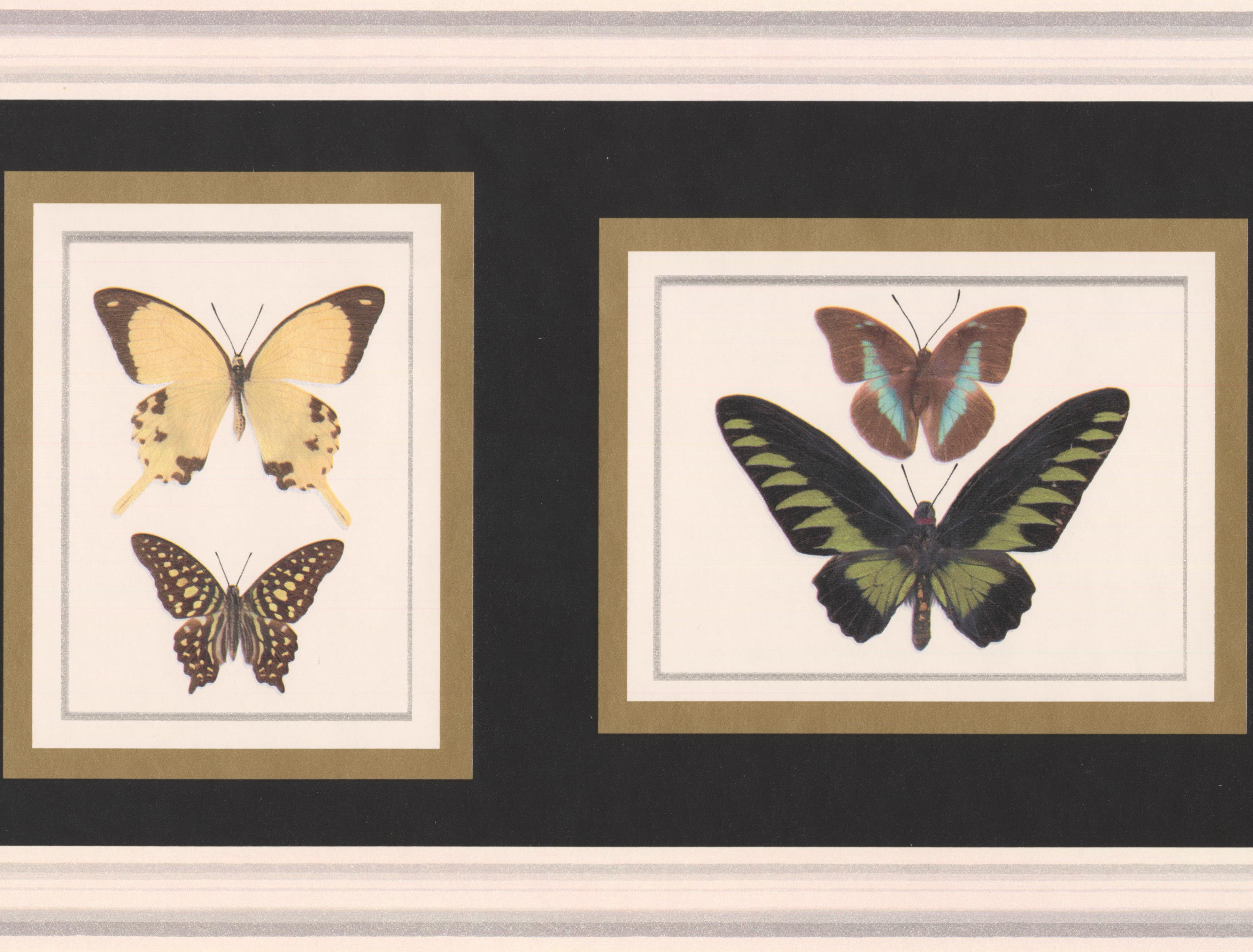 Wallpaper Border Colorful Butterfly Paintings Wide Wall Border Retro Design Roll 15 Ft X 10 In Walmart Com Walmart Com