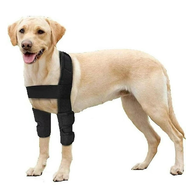Coussinets de protection respirants pour coudières pour chien pour le  soutien du coude et de l'épaule du chien Hygroma du coude, dysplasie,  arthrose