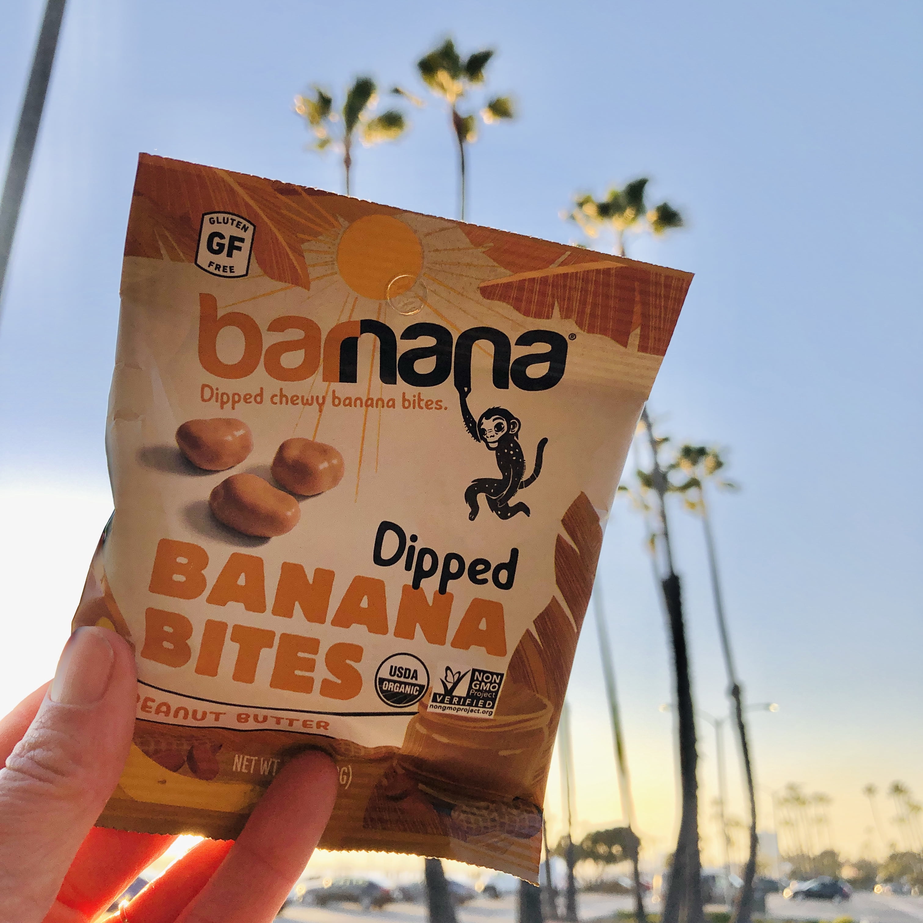 Barnana Organic Chewy Banana Bites - Peanut Butter - Case of 12 - 1.4 oz