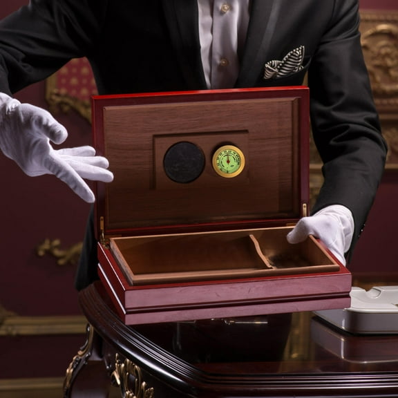 PTOOTP Metal Hygrometer Portable Humidity Gauge for Guitar Violin Cases Accurate Moisture Monitor