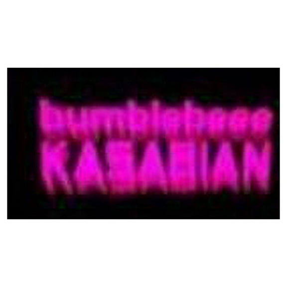 Kasabian - Bumblebeee - Vinyl