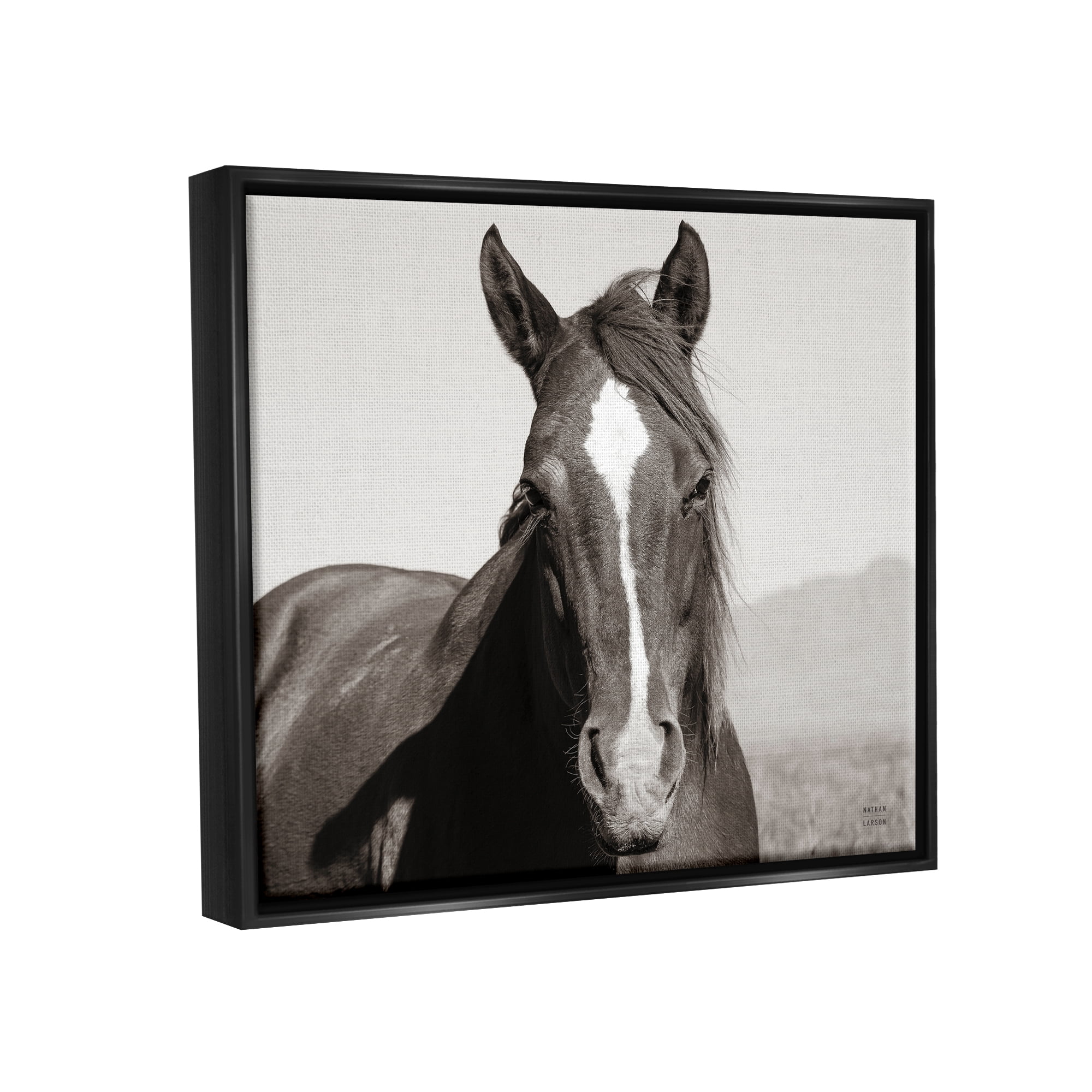 Stupell Industries Windblown Stallion Portrait Animals & Insects Photography Black Floater Framed Art Print Wall Art, 31 x 25