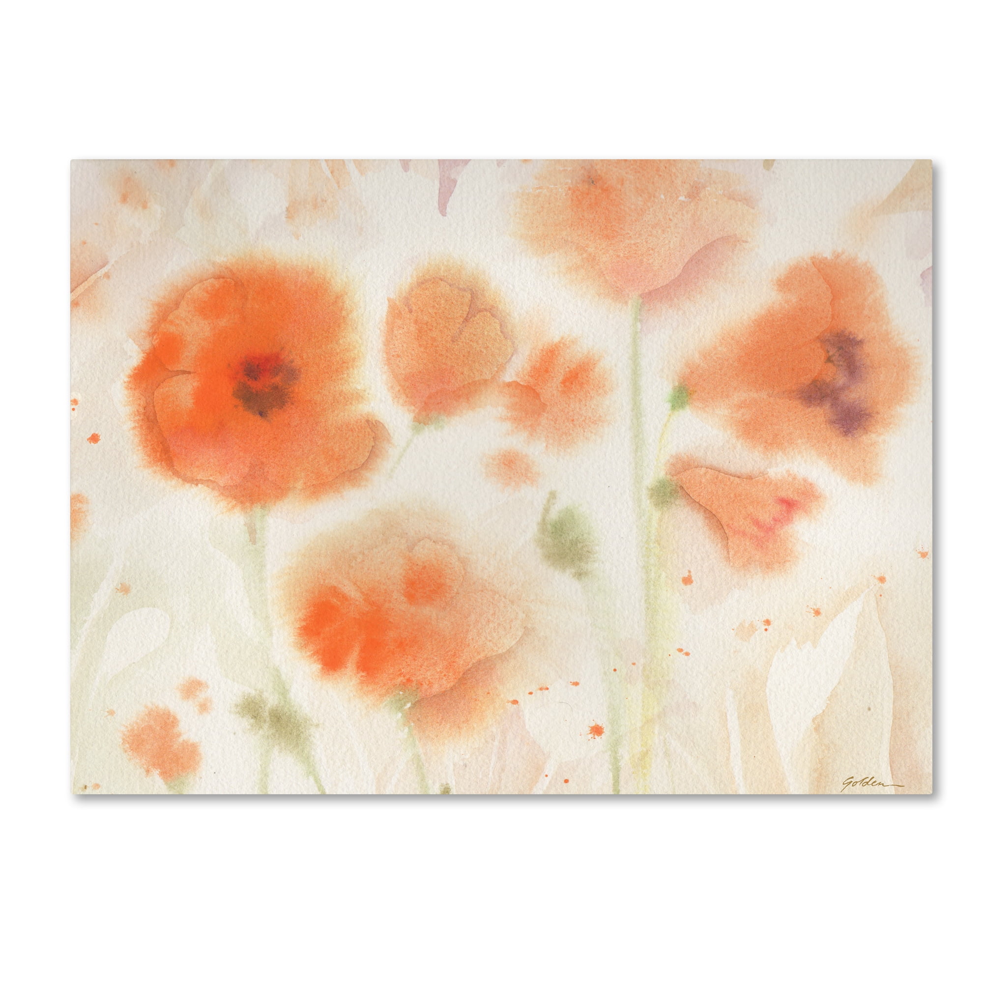 Trademark Fine Art "Orange Tones" Canvas Art by Sheila Golden