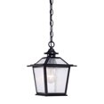 thumbnail image 1 of homeroots lighting 398031 Salem 1-Light Matte Black Hanging Light, 1 of 1