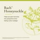 thumbnail image 3 of Flor Essence Bach Original Madreselva, 20 ml, vegana, sin gluten, 3 of 6