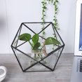 thumbnail image 4 of Unique Planter Container, Glass Modern Geometric Terrarium, For Succulents Moss, 4 of 8