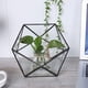 thumbnail image 5 of Terrario Geométrico De Decoración De Paisaje, Contenedor De Maceta De Vidrio, Para Musgo Suculento EOTVIA Plant Container, 5 of 8