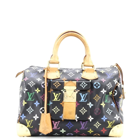 Pre-Owned Speedy Handbag Monogram Multicolor 30 By Rebag