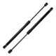 thumbnail image 1 of Soportes de elevación únicos para Honda Crosstour 2012-2015, resorte de gas para el capó delantero negro 2PCS, 1 of 7