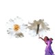 thumbnail image 1 of Accesorio para el cabello con flores de Isabella ZHAOCHENG color blanco playa, 1 of 3