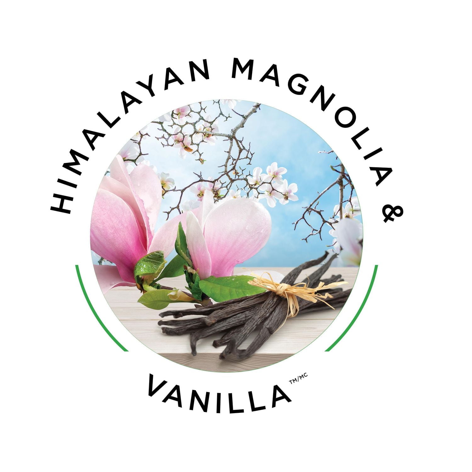 Botanica by Air Wick, Scented Oil 0+2 Refill, Fragrance Himalayan Magnolia & Vanilla