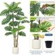 thumbnail image 5 of 6-foot artificial monstera deliciosa plant con a negra pot-grande fake tropical floor tree para indoor o outdoor home oficina o sala de estar decor, 5 of 7