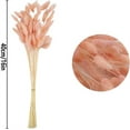 thumbnail image 2 of Tutuviw 60 Pcs Dried Bunny Tails Flowers, Lagurus Ovatus Tail Dried Flowers, Grass Natural Dried Floral Arrangement for Fall Decor Autumn Wedding DIY Farmhouse Christmas, Pink, 2 of 7