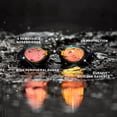 thumbnail image 3 of TYR Blackhawk Racing Swim Goggles - Advanced Swimming Goggles for Competition Anti-Fog UV Protection Watertight Fit, Blue/Navy, 3 of 6