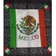 thumbnail image 2 of Docena Paliacate Pañuelo Patrio Mexicano, 2 of 3
