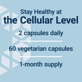 thumbnail image 5 of Life Extension GEROPROTECT® Stem Cell, promotes healthy cellular renewal, kokum extract, trans-resveratrol, gluten free, non-GMO, vegetarian, 60 capsules, 5 of 11