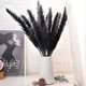 thumbnail image 3 of 30Pcs Black Pampas Grass, 17 Inch Natural Dried Fluffy Small Stems, 3 of 5