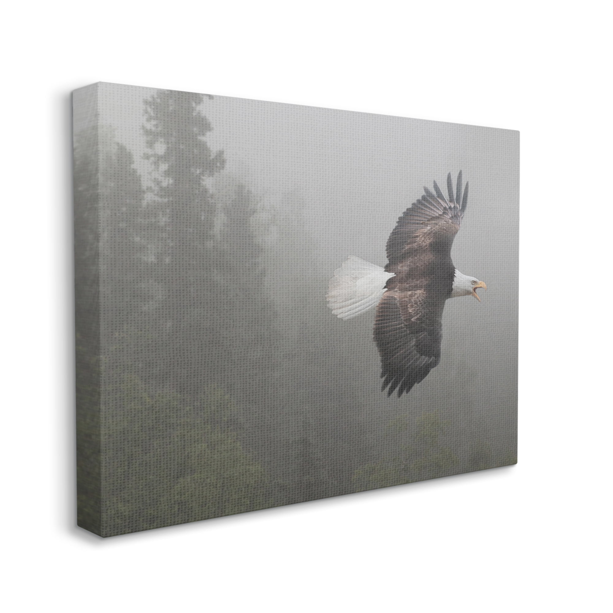 Stupell Industries Soaring Eagle in Nature Animals & Insects Photography Gallery Wrapped Canvas Print Wall Art, 48 x 36