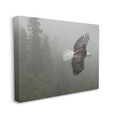 thumbnail image 4 of Stupell Industries Soaring Eagle in Nature Animals & Insects Photography Gallery Wrapped Canvas Print Wall Art, 40 x 30, 4 of 8