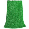 thumbnail image 2 of Fotbe Green Sparkling Shiny Manta de Franela Acolchonada con Estampado, Súper Suave y Esponjosa, Extra Grande para Sofá, Cama, Uso Todo el Año-60"x50", 2 of 7