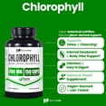 thumbnail image 2 of HealthFare Chlorophyll Capsules 600mg | Internal Deodorant & Body Odor Support | 150 Veg Pills for Women & Men | Premium Plant-Based Supplement | Vegan, Non-GMO, Gluten-Free | Made in USA, 2 of 7