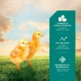 thumbnail image 3 of DuMOR 20% Chick Starter/Grower Poultry Feed, 50 lb., 3 of 6