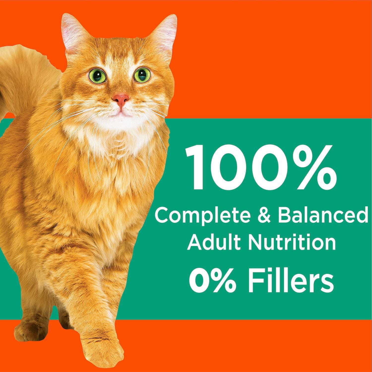 Wet Cat Food IAMS PROACTIVE HEALTH Adult Hairball Care Dry Cat