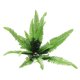 thumbnail image 5 of BESTYASH Vegetal Artificial Para Pared Con Hojas Para Ambientes Y Fiestas, 5 of 8