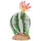 thumbnail image 4 of Plantas de cactus artificiales NikouMX Decoración de reptiles del desierto, 4 of 8