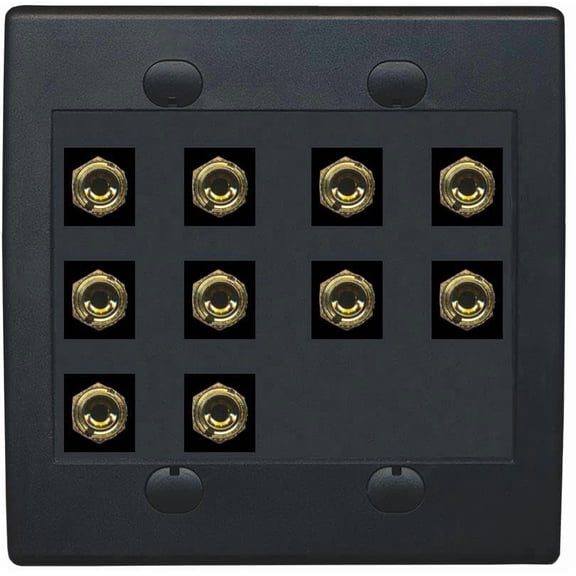 RiteAV 10 Banana 5 Speaker Surround 2 Gang Coupler Wall Plate 2 Gang Black