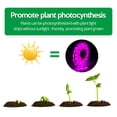 thumbnail image 3 of LED Grow Light Full Spectrum USB Grow Light Strip 5M 2835 SMD DC5V LED Phyto, 3 of 8