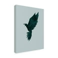 thumbnail image 2 of Trademark Fine Art 'Crow Black Birds' Canvas Art by Incado, 2 of 3