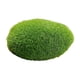 thumbnail image 3 of Plantas de simulación de roca de artificial Bola de Decoración Paisaje DIY Piedra cubierta de para jardines de hadas Elaboración de Macarena Piedra, 3 of 8