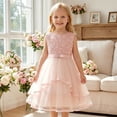 thumbnail image 3 of Flower Girls Dress Blush Belted Wedding Party Bridesmaid 4, 3 of 10