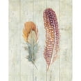 thumbnail image 3 of Nai, Danhui 15x18 Black Modern Framed Museum Art Print Titled - Natural Flora XI, 3 of 5