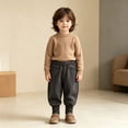 thumbnail image 2 of FYDUU Toddler Boys Sweatpants Elastic Waist Casual Joggers Fall Winter Pants Solid Color Comfort Fit Trousers Back To School Clothes Vacation Pants 12-24 Months, 2 of 9