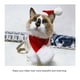 thumbnail image 4 of Conjunto De Gorro Y Bufanda De Navidad Para Mascotas Disfraz De Navidad Para Mascotas Accesorios Para Mascotas Eigraketly HA029820-00, 4 of 5
