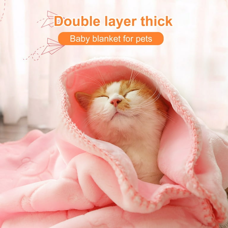 Cat top blanket walmart