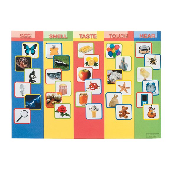 Five Fun Senses Make A Sticker - Educational - 12 Pieces
