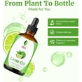 thumbnail image 5 of SVA Lime Essential Oil – 4 Fl Oz – 100% Natural Lime Oil - for Diffuser, Hair Care, Face, Skin Care, Aromatherapy, Scalp and Body Massage, Soap and Candle Making - with Dropper, 5 of 9