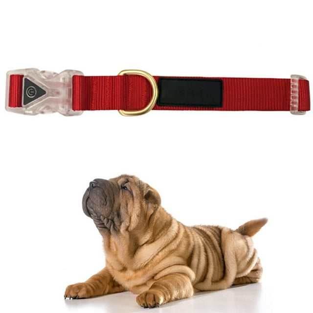 Collier pour Chien en Nylon à Boucle Lumineuse Réglable Collier pour Chiot Collier pour Animaux de Compagnie pour l'Entraînement
